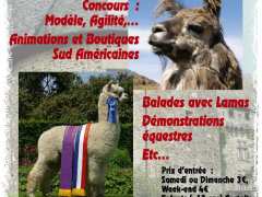 photo de Salon Européen Alpagas et Lamas