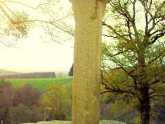 Foto Journées du patrimoine à Soudaine Lavinadière site archéologique du prieuré du St Sépulcre