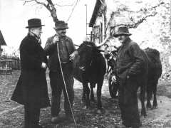 picture of Henri Queuille, le radicalisme et le monde rural