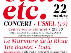 picture of "Vielle etc. 2010" à Ussel avec "Le Murmure de la Rhue" (15) /  "The Bavest" (19)  • Toad (43)