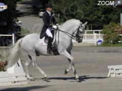 photo de Dressage Horse Collection CDI 3*