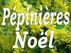 photo de pepinieres noel vente en ligne d'arbustes, d'arbres fruitiers, d'arbres tiges, de conifères, de terres de bruyere, de petits fruits, de méditerranéennes, de plantes grimpantes, d'aromatiques