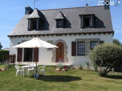 picture of Les ajoncs d'or