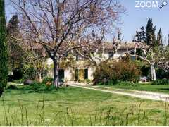 picture of Le Lauron