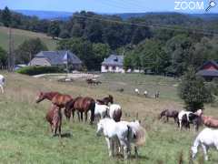 Foto FERME EQUESTRE DE MIALARET