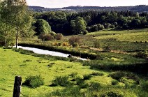 Fermer la fenêtre