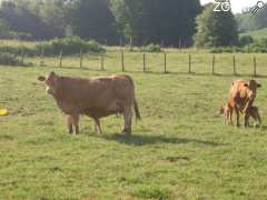 фотография de la ferme de taussac