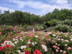 foto di "Les Jardins de Colette"