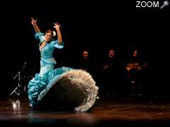 foto di flamenco de meligrana