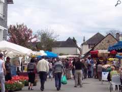 photo de FOIRE AUX PLANTS ET VIDE GRNIER